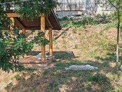 -石家庄市动物园