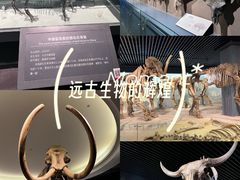 -大庆市博物馆