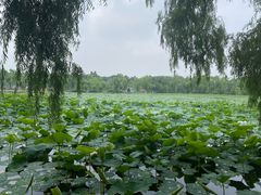 -长春市南湖公园