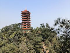 -缙云山景区