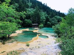 -黄龙山原始森林景区