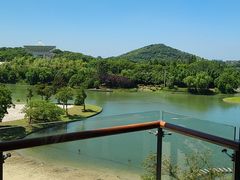 -上海佘山世茂艾美酒店