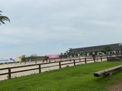 -松声马术俱乐部