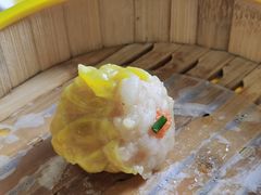 蟹子烧卖皇-新宝城海鲜坊(大浪店)