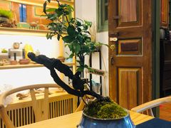 -晋江五店市传统文化旅游区
