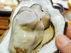 -蚝堡海鲜·威海菜·海肠捞饭·烧烤·亚洲吃蚝公司(幸福门店)