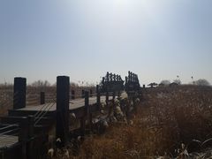 -苏州太湖湖滨国家湿地公园