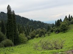 -新疆那拉提国家旅游度假区