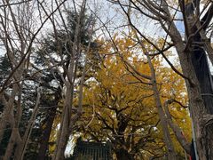 -崂山巨峰游览区