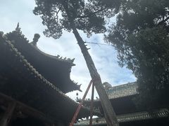 -报恩寺(平武县)