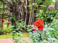 -人民公园(罗湖区)