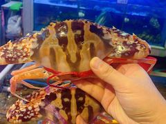 -东江海鲜大排档·潮汕菜·砂锅粥