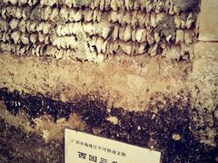 -小洲村