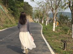 -罗浮山嘉宝田森林温泉度假酒店