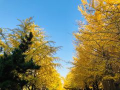 -辽宁大学(崇山校区)