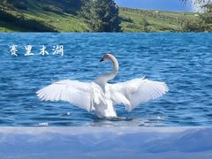 -赛里木湖风景名胜区