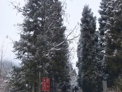 -武陵山森林公园