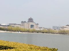 -莲花池公园