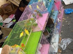 -西塘广惠公园