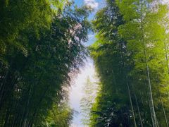 -黄公望隐居地