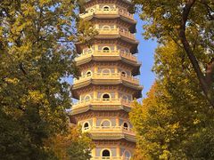 -灵谷景区