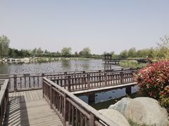 -羊亭河湿地公园