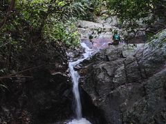 -阳台山森林公园