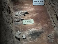 -汉景帝阳陵博物院