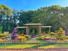 -上海共青森林公园