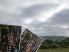 -塞罕坝国家级自然保护区