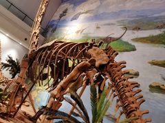 -自贡恐龙博物馆