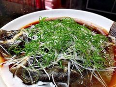 清蒸多宝鱼-普天和酒楼·新津菜·烤鸭(天津之眼店)