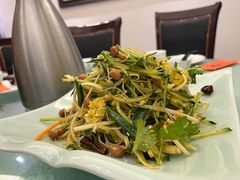 东北拌菜-福禄财东北菜(珠江帝景店)