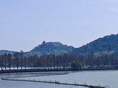 -东湖落雁景区
