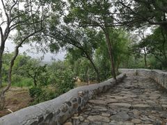 -阳台山自然风景区