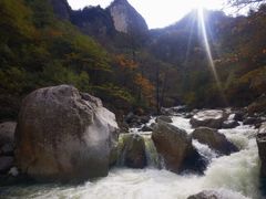 -青峰峡国家森林公园