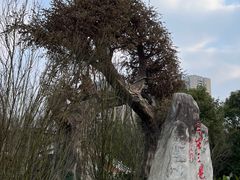 -昌州古城