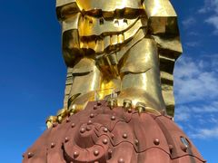 -大金鹰园