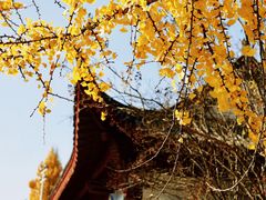 -东坡赤壁风景名胜区