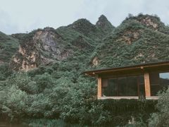 -天源渔港农庄