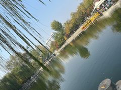 -莲湖公园