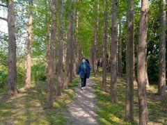 -上海长兴岛郊野公园