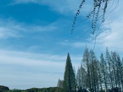 -黄兴公园