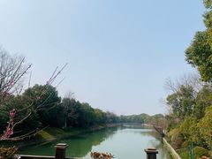 -上海海湾国家森林公园