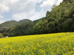 -贵阳市花溪国家城市湿地公园