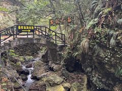 -夏霖九天银瀑风景区