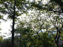-罗田天堂寨风景区