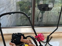 -上海崇明金茂凯悦酒店