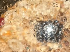 土鸡菌汤锅-芸山季·云南山珍菌火锅(南翔印象城MEGA店)