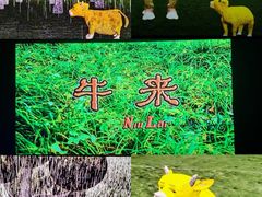 -新街口影城(德基广场LED巨幕店)